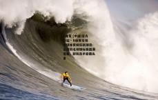 B体育 (中国)官方网站 - B体育引领全球体育娱乐新潮流-全国羽毛球锦标赛圆满落幕，新锐选手崭露头角
