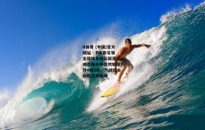 B体育 (中国)官方网站 - B体育引领全球体育娱乐新潮流-威尔斯半场高效斩获7分4板2助，力战旧主却陷犯规麻烦